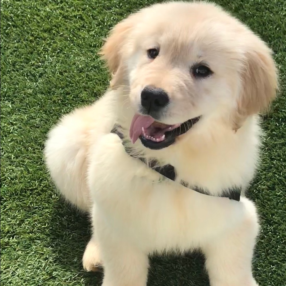 Meet your Posher, Erinn